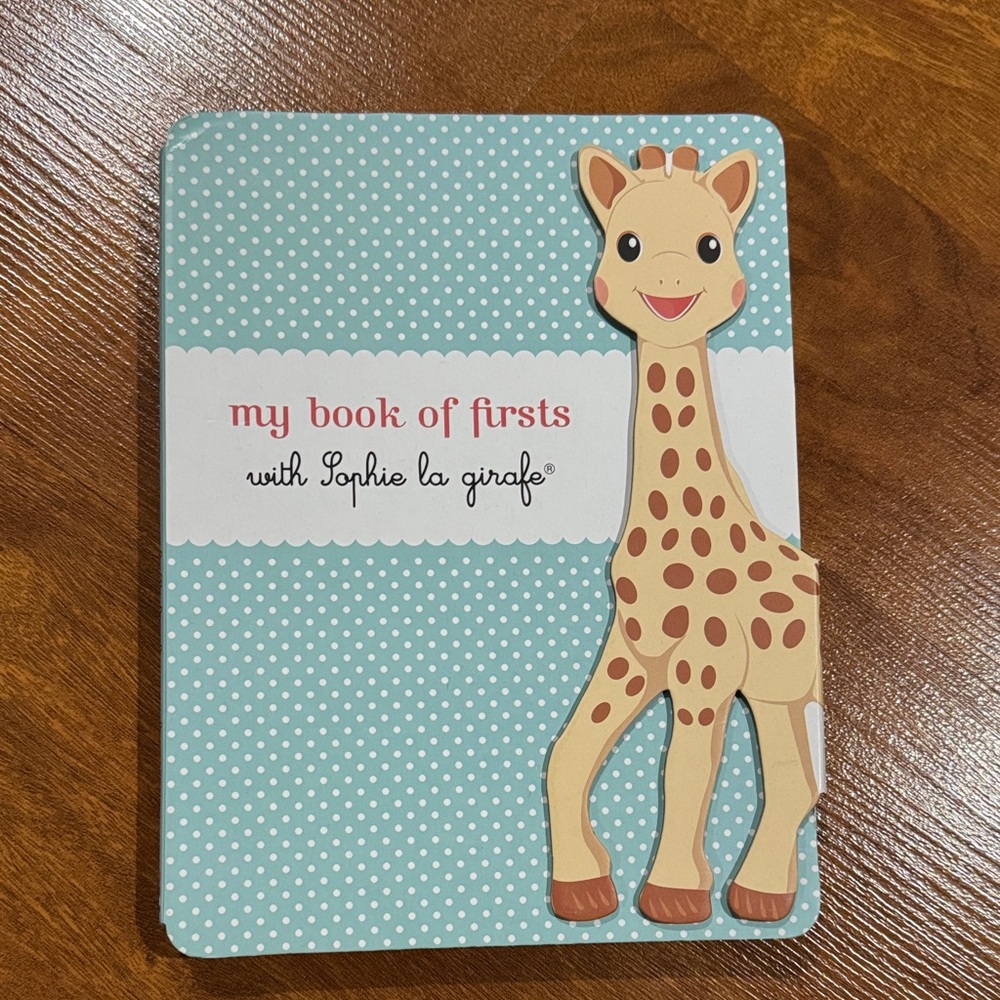 My Book of Firsts - Blue